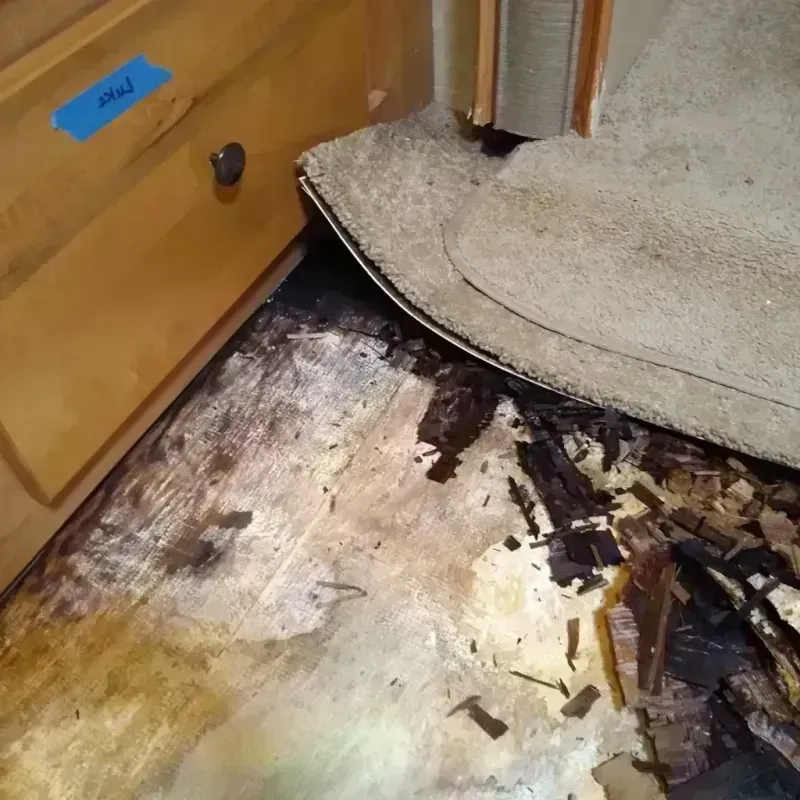 Wood Floor Water Damage in Howard County, NE